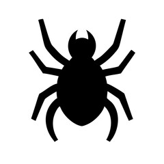 Spider: Intriguing Arachnids of Nature