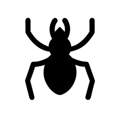 Spider: Intriguing Arachnids of Nature