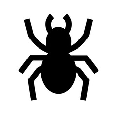 Spider: Intriguing Arachnids of Nature