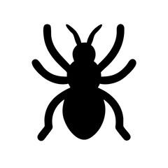 Spider: Intriguing Arachnids of Nature