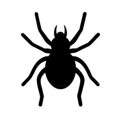 Spider: Intriguing Arachnids of Nature