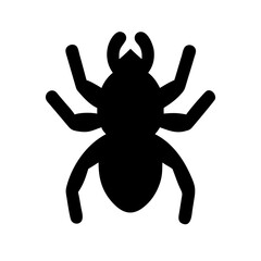 Spider: Intriguing Arachnids of Nature