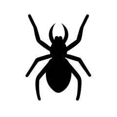 Spider: Intriguing Arachnids of Nature