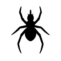 Spider: Intriguing Arachnids of Nature