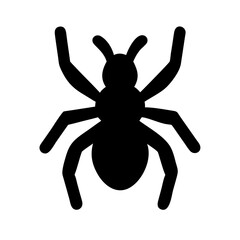 Spider: Intriguing Arachnids of Nature