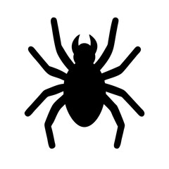 Spider: Intriguing Arachnids of Nature