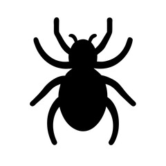 Spider: Intriguing Arachnids of Nature