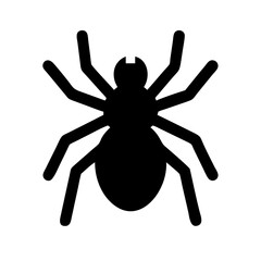 Spider: Intriguing Arachnids of Nature