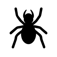 Spider: Intriguing Arachnids of Nature