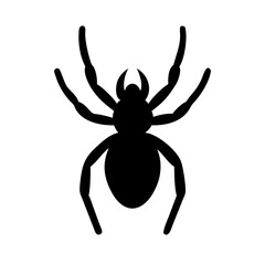 Spider: Intriguing Arachnids of Nature