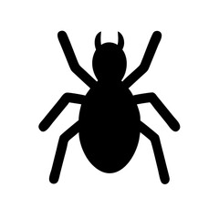 Spider: Intriguing Arachnids of Nature