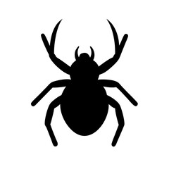 Obraz premium Spider: Intriguing Arachnids of Nature