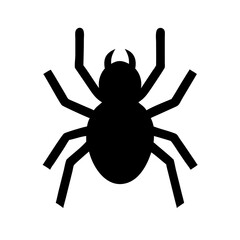 Spider: Intriguing Arachnids of Nature