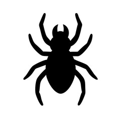 Spider: Intriguing Arachnids of Nature