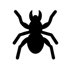 Spider: Intriguing Arachnids of Nature