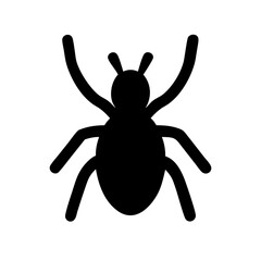Spider: Intriguing Arachnids of Nature