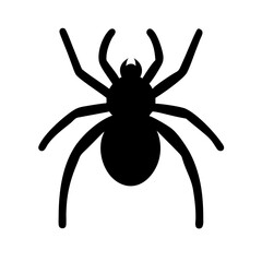 Spider: Intriguing Arachnids of Nature