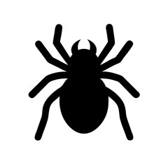 Spider: Intriguing Arachnids of Nature