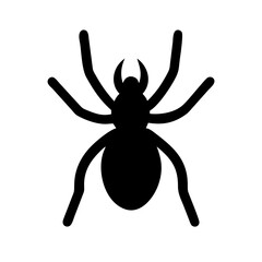 Spider: Intriguing Arachnids of Nature