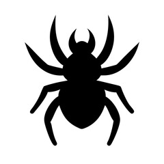 Spider: Intriguing Arachnids of Nature