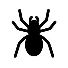 Spider: Intriguing Arachnids of Nature