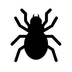 Spider: Intriguing Arachnids of Nature