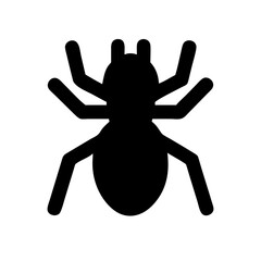 Spider: Intriguing Arachnids of Nature