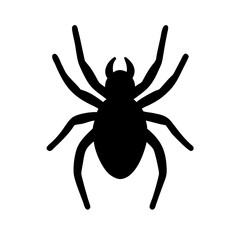 Spider: Intriguing Arachnids of Nature