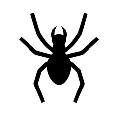 Spider: Intriguing Arachnids of Nature