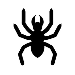 Spider: Intriguing Arachnids of Nature