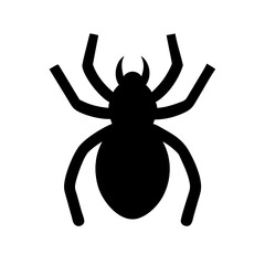 Spider: Intriguing Arachnids of Nature