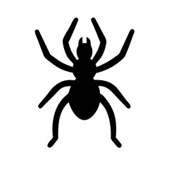 Spider: Intriguing Arachnids of Nature