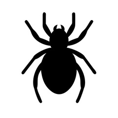 Spider: Intriguing Arachnids of Nature