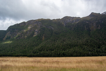 Scenic Mountain Landscape with Forest and Grass Field