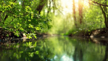 Obraz premium Beautiful spring nature background with a forest, river, and sunlight reflection in the water