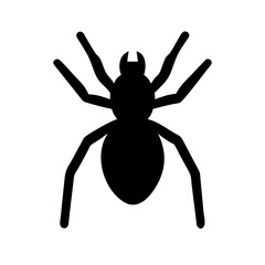 Spider: Intriguing Arachnids of Nature