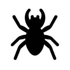 Obraz premium Spider: Intriguing Arachnids of Nature