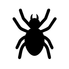 Spider: Intriguing Arachnids of Nature