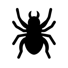 Spider: Intriguing Arachnids of Nature