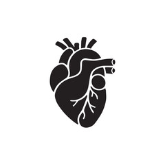 human heart vector illustration