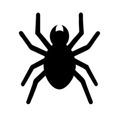 Spider: Intriguing Arachnids of Nature