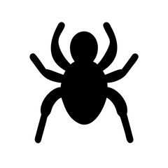 Spider: Intriguing Arachnids of Nature