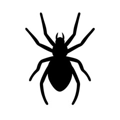 Spider: Intriguing Arachnids of Nature