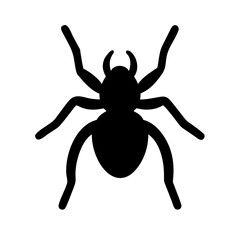 Spider: Intriguing Arachnids of Nature