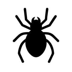 Spider: Intriguing Arachnids of Nature