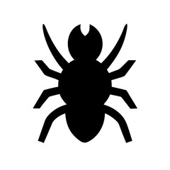 Spider: Intriguing Arachnids of Nature
