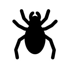 Spider: Intriguing Arachnids of Nature
