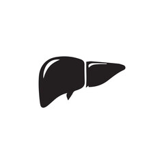 liver vector illustration