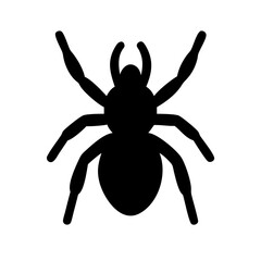 Spider: Intriguing Arachnids of Nature