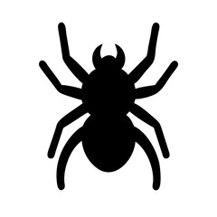 Spider: Intriguing Arachnids of Nature